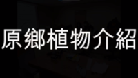 ImgDesc(另開新視窗)